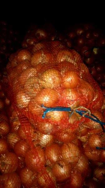 ЛУК качественный - поставщик из Украины