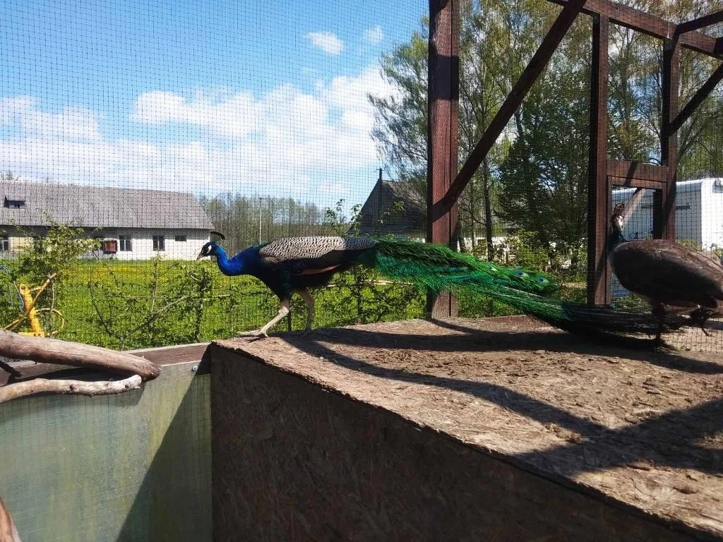 Недостроенная агроусадьба в Копыльском районе