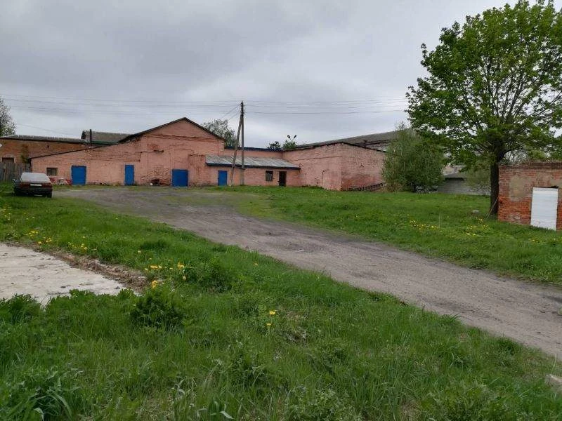 Фирма с сетью магазинов