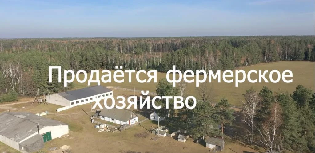 Фермерское хозяйство в Минской области